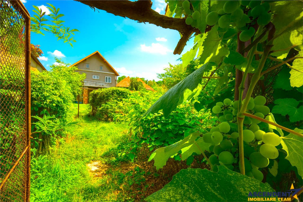 Imobil cu potential, constructie solida cu 2 apartamente, de