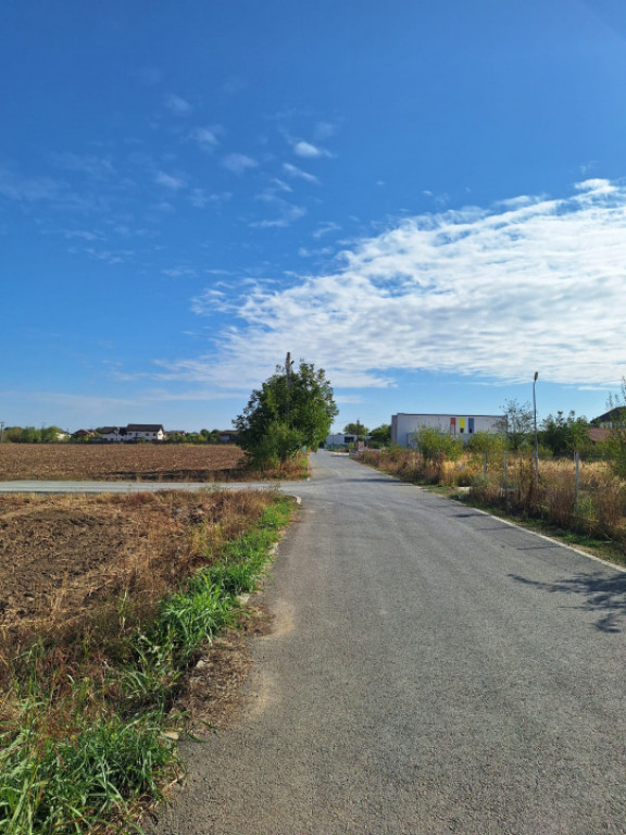 Snagov- Ciofliceni, loturi de casă între 504-670mp, Șerba