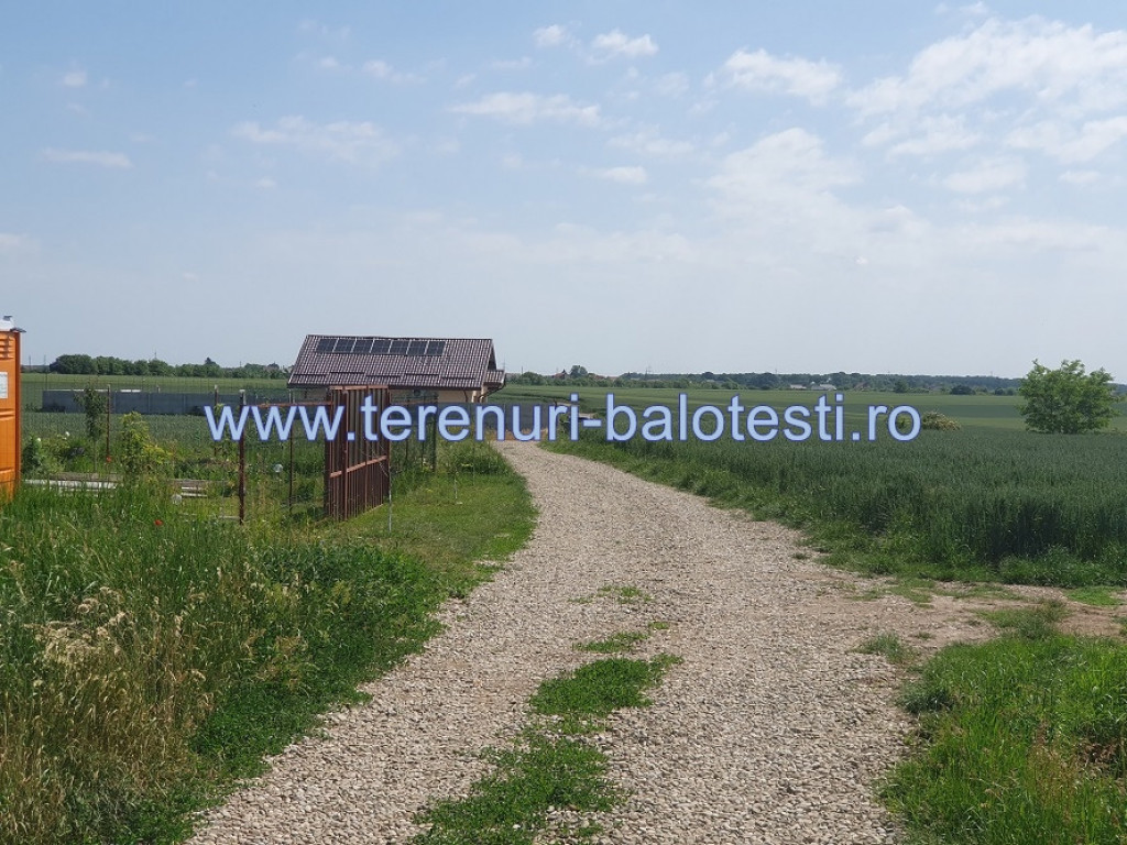 Vanzare Teren 1,300mp Balotesti / Strada Tarina Veche/Rez...