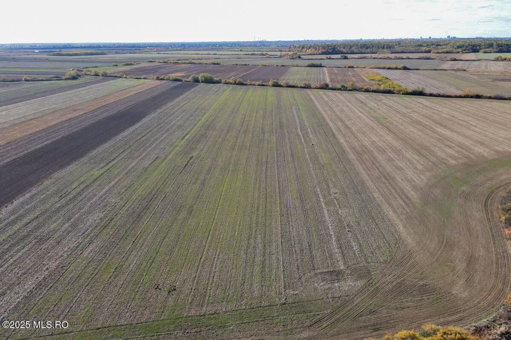 Bucovat - Lot Intravilan 2.27 Ha, PUZ inceput, Rezidentia...