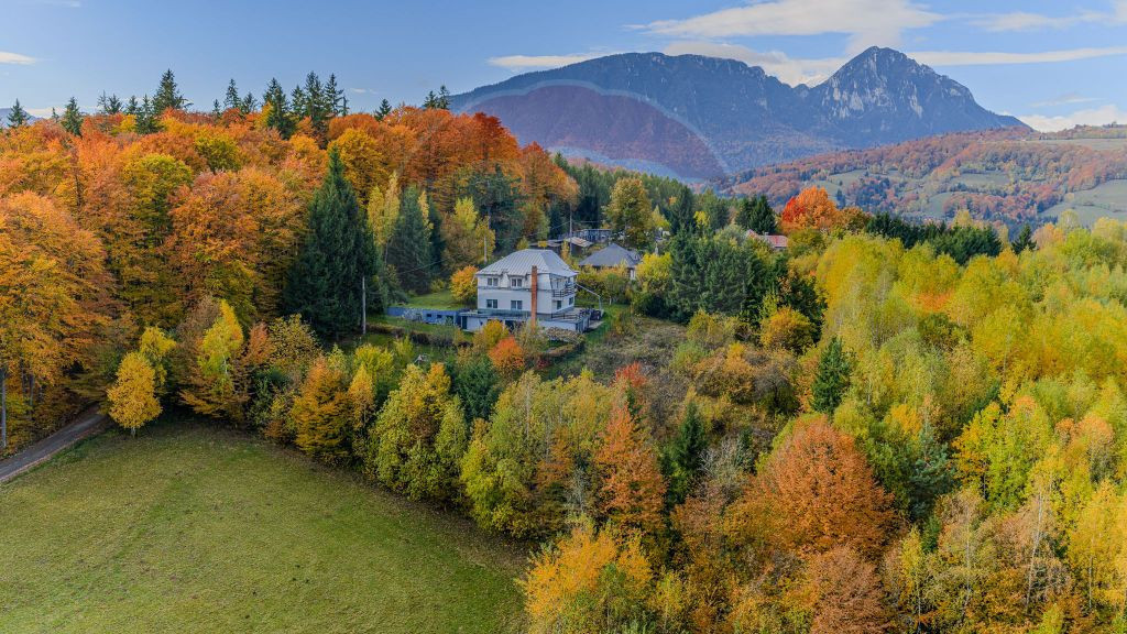 Oferta! Casă / Vilă cu 7 camere de vânzare/ Poiana Mar...