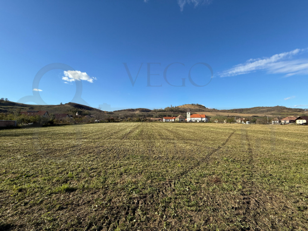 Teren intravilan de vânzare în Alma jud. Sibiu – 7.342 m