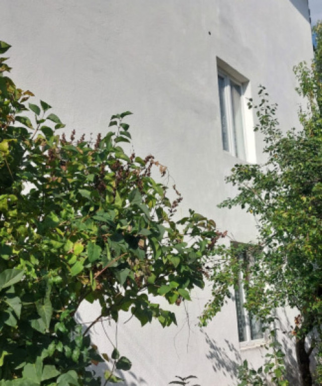 Casa unifamiliala de vanzare zona linistita Sighet