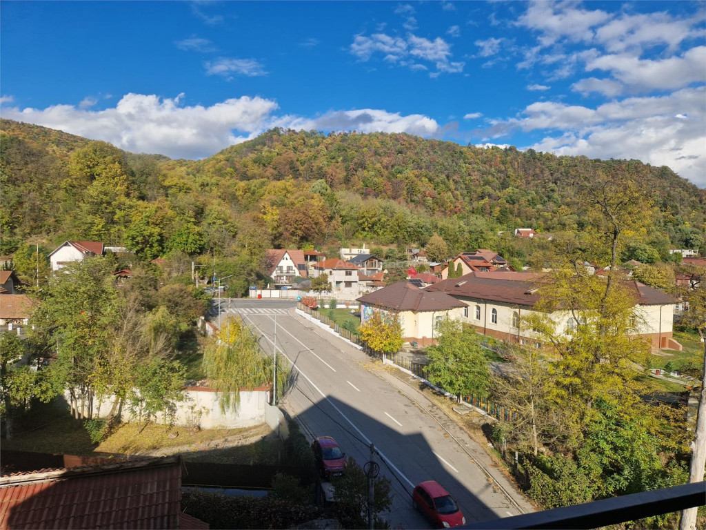 Ramnicu Valcea - Stirbei Voda - Raul Olanesti