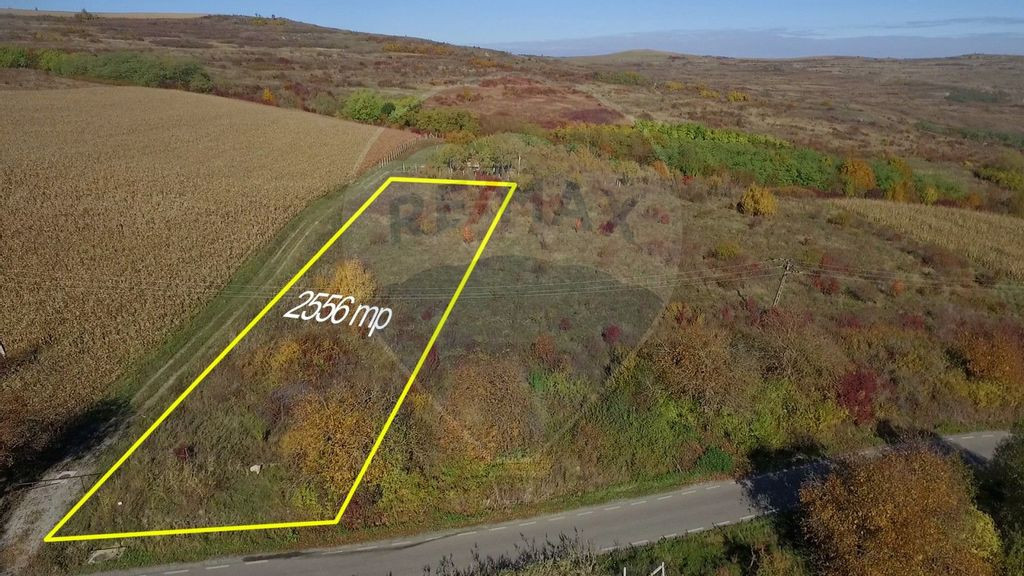 Teren Pădureni (Chinteni), intravilan, parcelabil