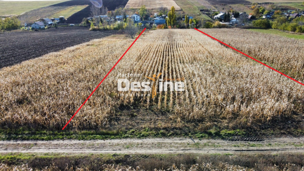 Teren intravilan compact 7535 mp utilități aproape Cosițe