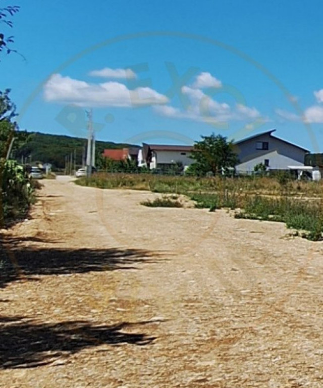 Teren 500 mp intravilan Smeura Stoenari - 4 loturi