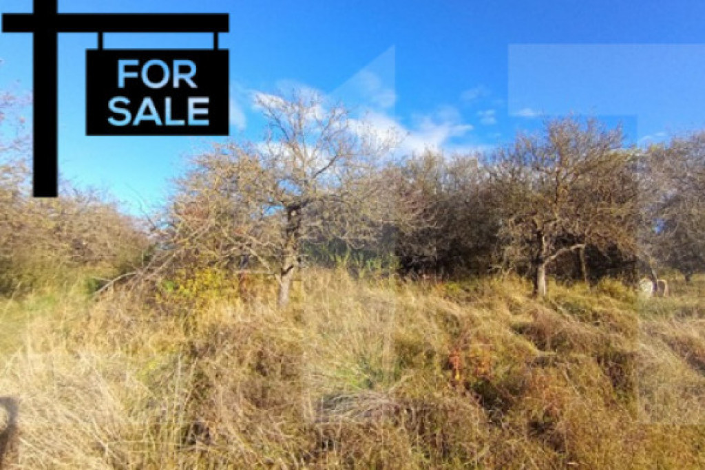 Oportunitate de investitie in zona Wonderland