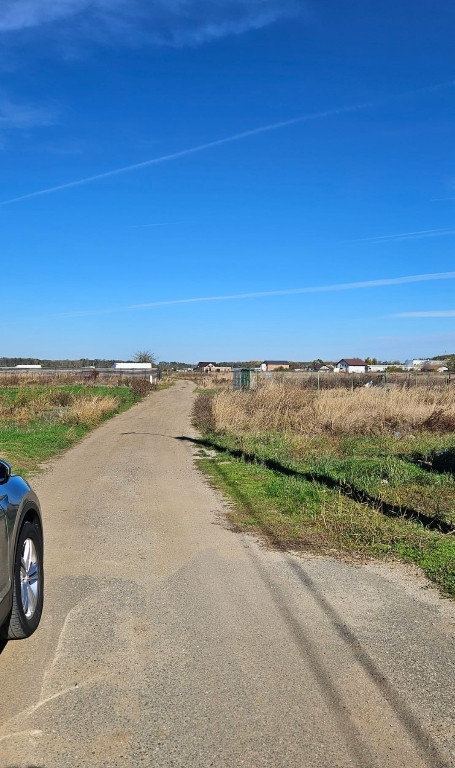 Teren Comuna 1 Decembrie str. Tuberozelor 733mp