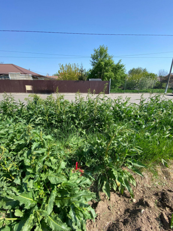 Tomis Nord – Teren 847mp cu dubla deschidere COMISION 0%