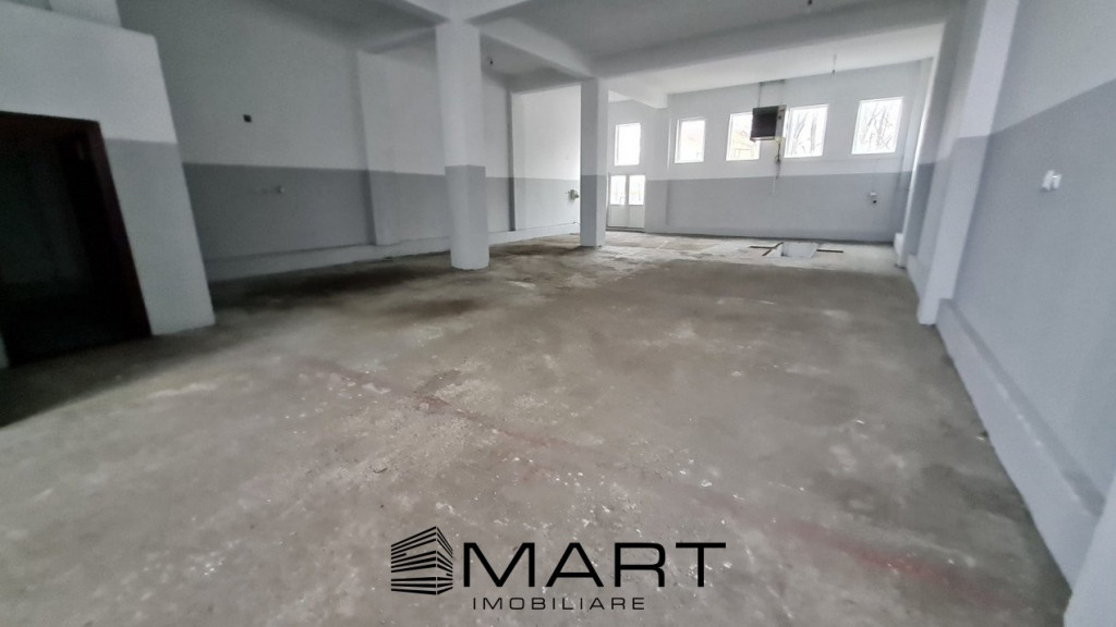 Hală multifuncțională zona terezian