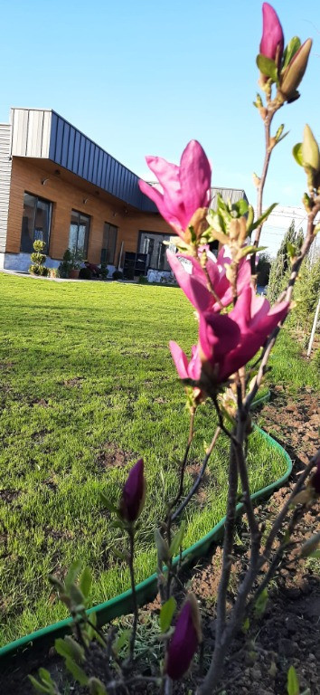 Casa noua parter Malu Mare, Dolj