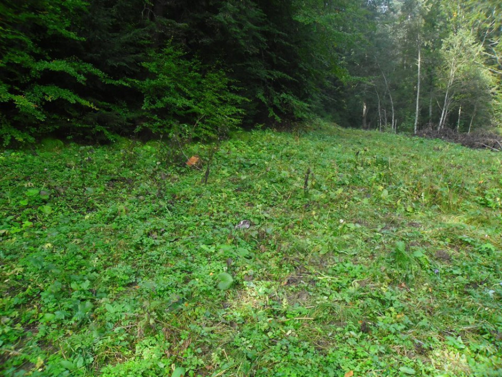 Predeal-Teren intravilan,semicentral