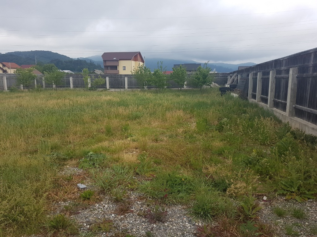 Teren Sacele-Lefrumarin