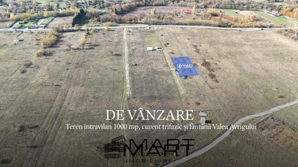 Teren 1000 mp, curent trifazic si fantana Valea Avrigului