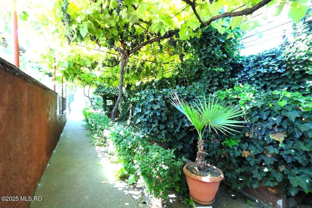 Palazu Mare - Strada Gheorghe Baritiu 16, casa cu teren d...