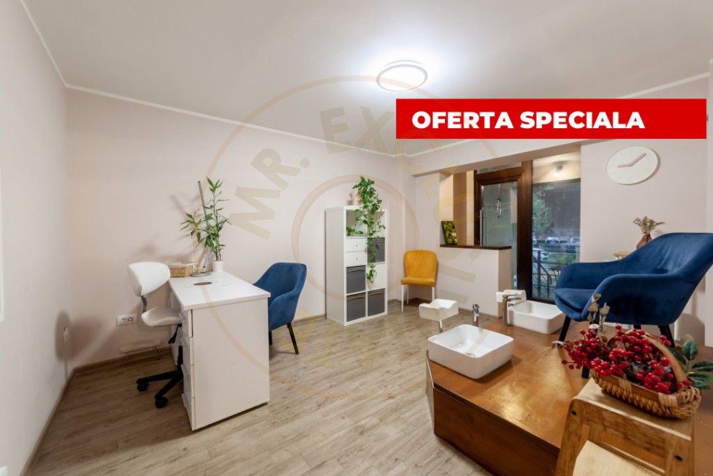 De vanzare- Spațiul Care Îți Poate Transforma Afacerea Pi