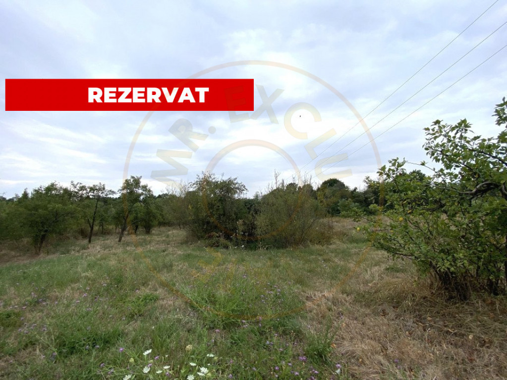 Teren intravilan 1.765 mp in Poiana Lacului, AG