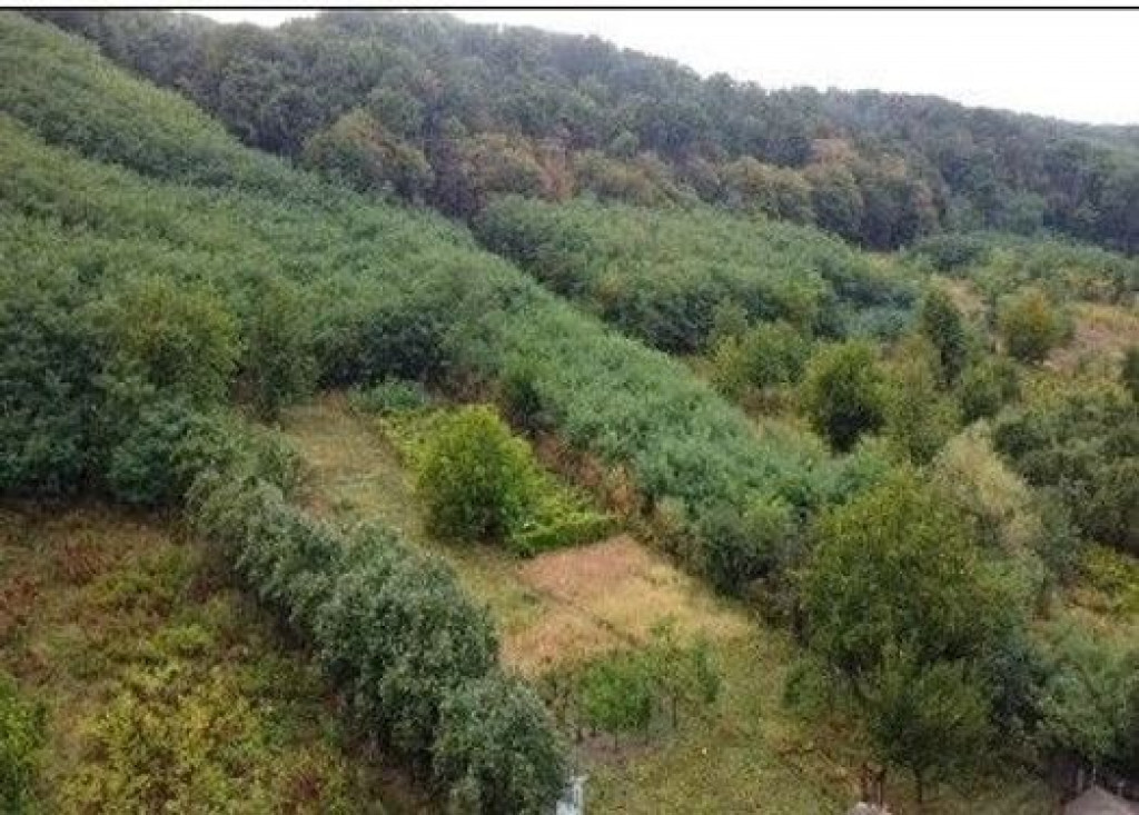 Teren Duta-Epureni, ID: R2757048