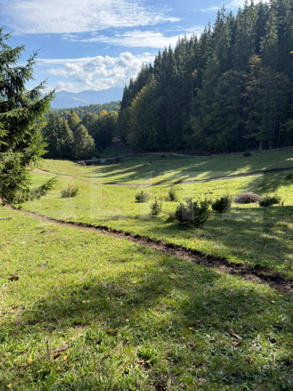 Teren intravilan 28 Ari zona Colibita