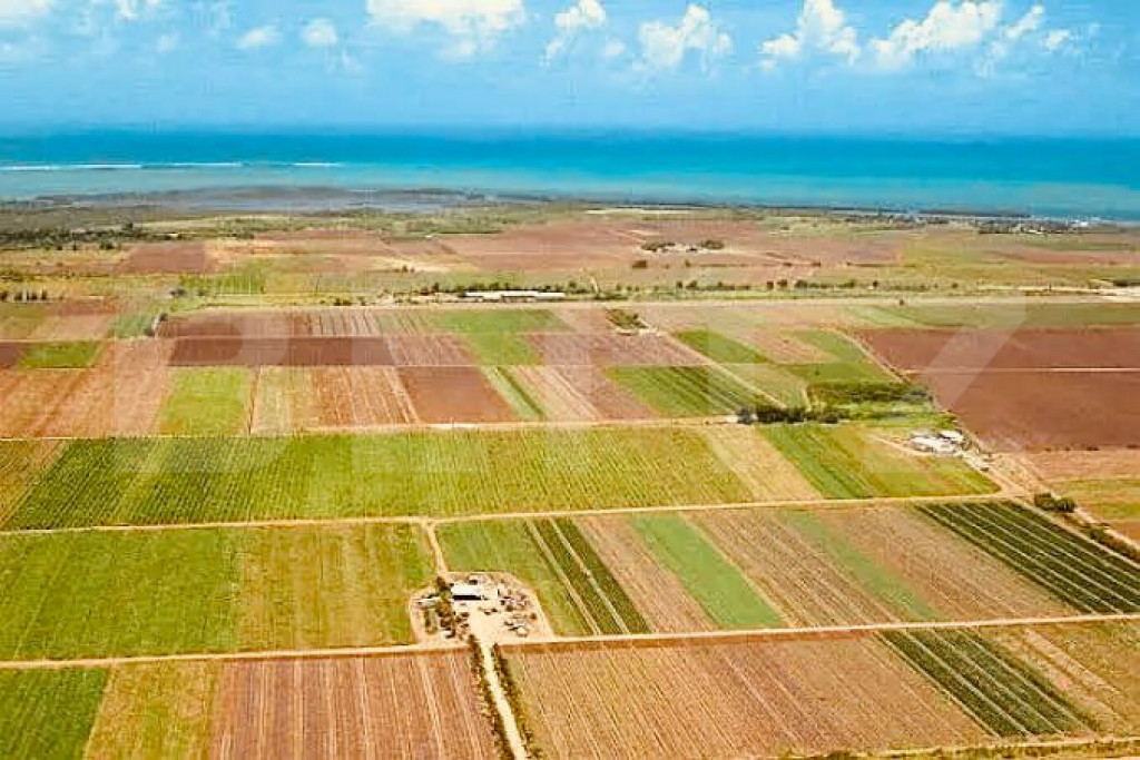 Terenuri extravilane agricole de vanzare - Voila, Brasov 22.