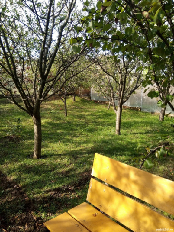 Teren intravilan 500 mp Rediu la 150 ml de soseaua principal