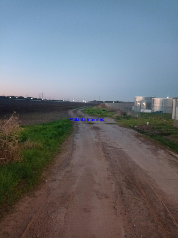 Teren constructie hale