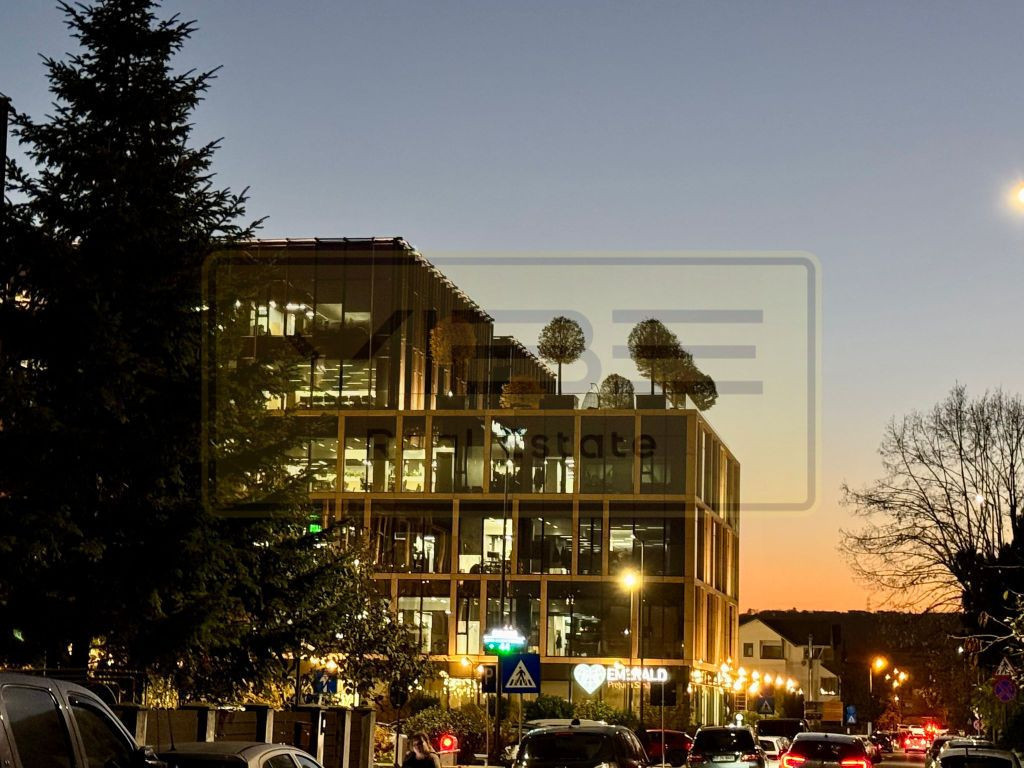 Casa individuala Centru - Palas Campus