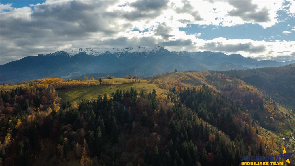 FILM! Teren intravilan spectaculos,1.000 mp,Moieciu,panorama