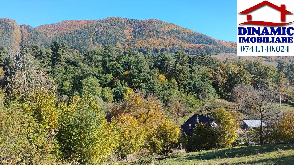 3600 mp teren intravilan, sat Bistrita, 16 Euro/mp