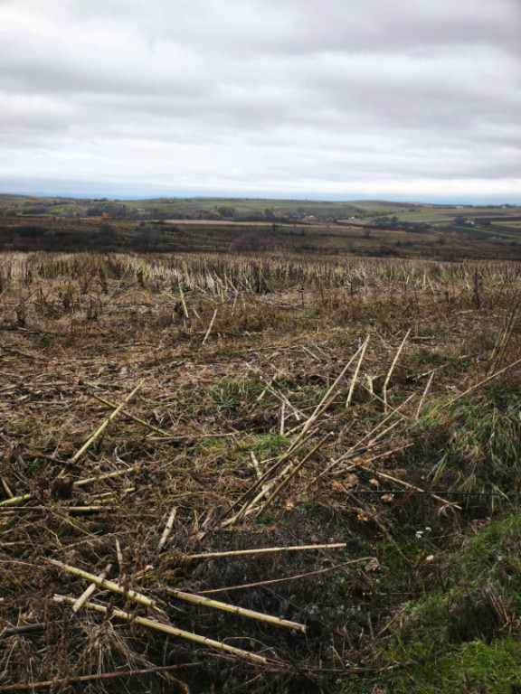 Teren intravilan, 1700 mp, deschidere la drum, Siret