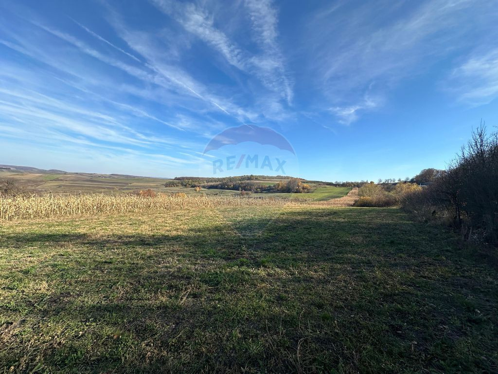 DE VANZARE - teren in ograda