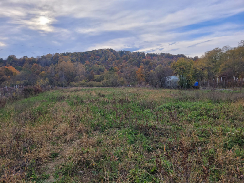 Teren intravilan, 4967 mp, utilități, sat Rasova, Băleș