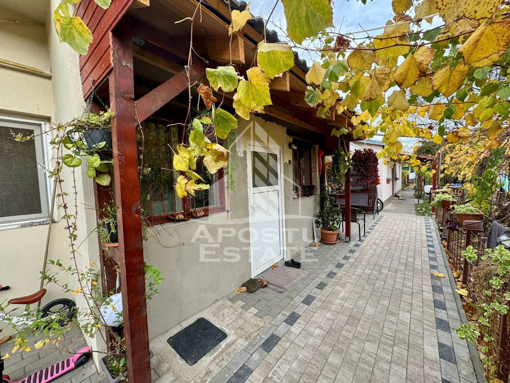 Doua apartamente la curte comuna , zona Iosefin