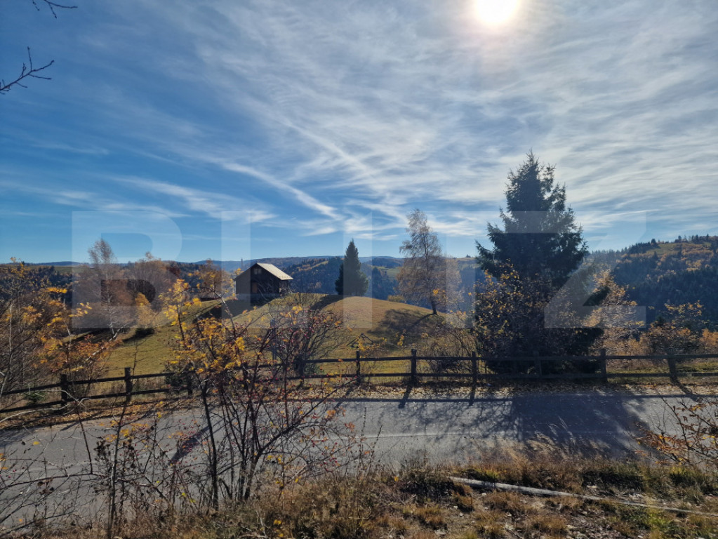 Teren intravilan, 24.888mp, front la strada, utilitati, Mari