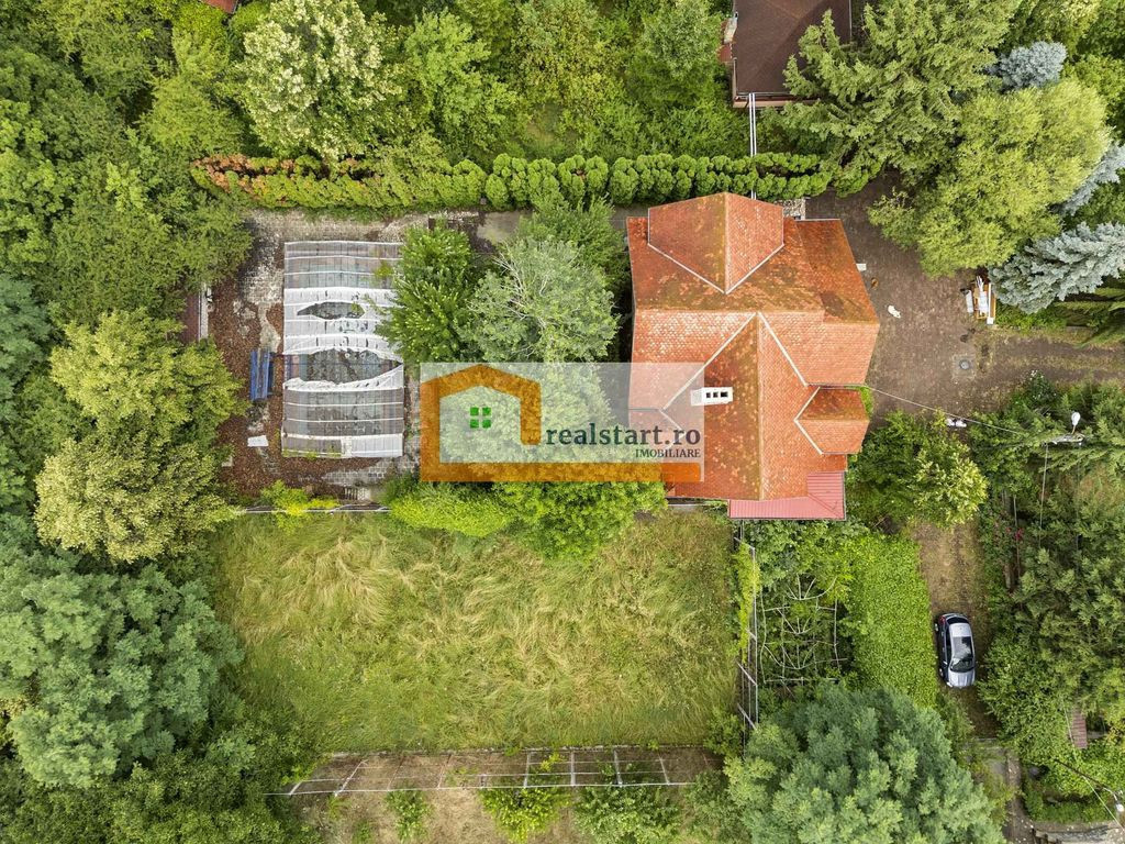 Pet Friendly, Vedere Padure, 5000mp teren, D+P+1E+M, semi...