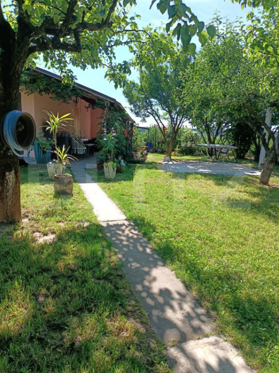 Teren 10 arii extravilan – zona Careiului