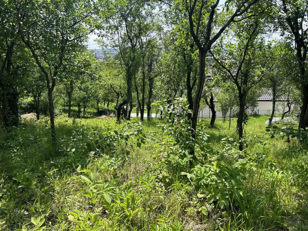 Parcelă de 3.72 ari – zonă Valea Rosie