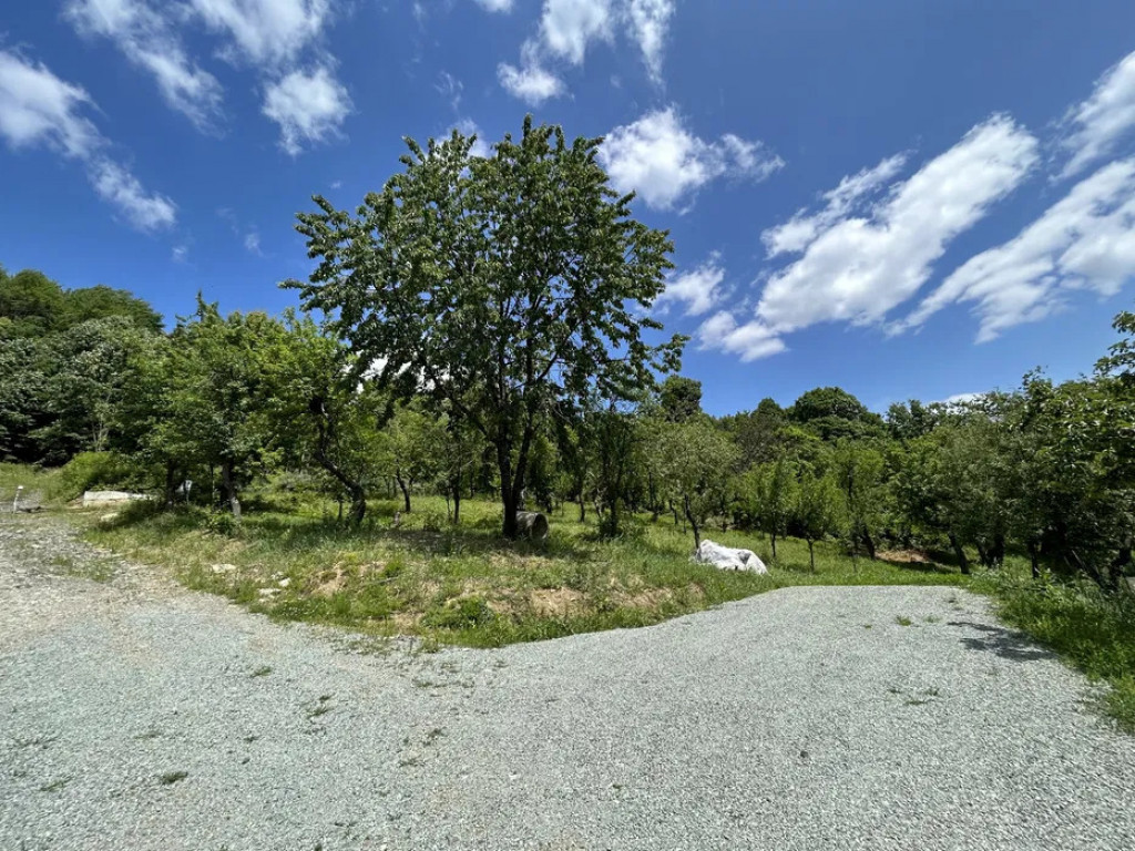 Parcelă de 8,86 ari – zonă Valea Rosie