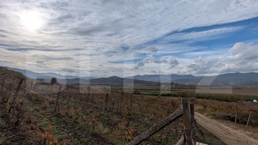 Teren pretabil pentru cabana, cu view