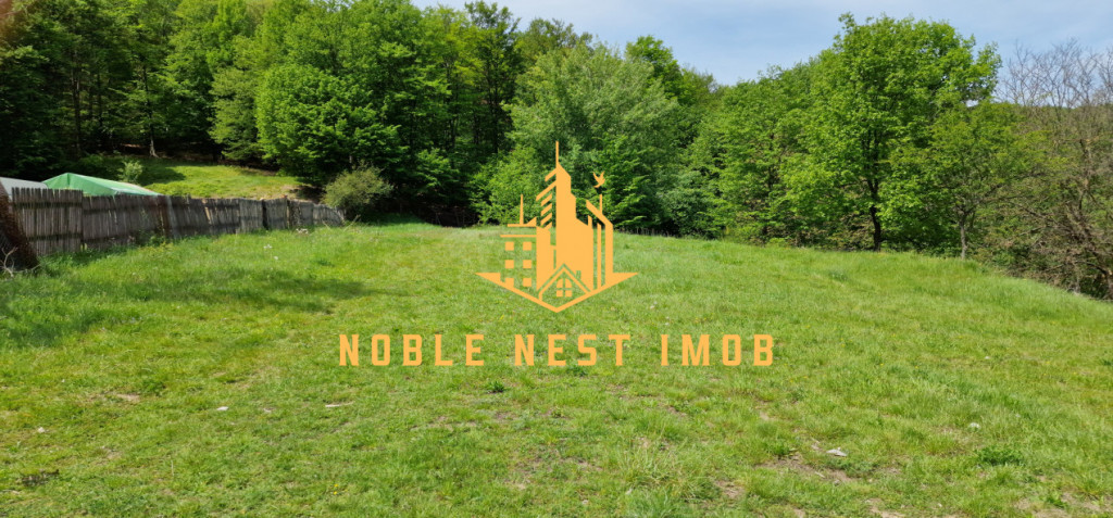 Teren extravilan 2200 mp - Budeasa Mică, Argeș, COMISION 0.