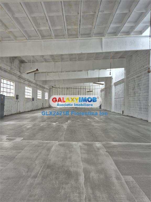 9005 hala 470mp Chitila-Rudeni