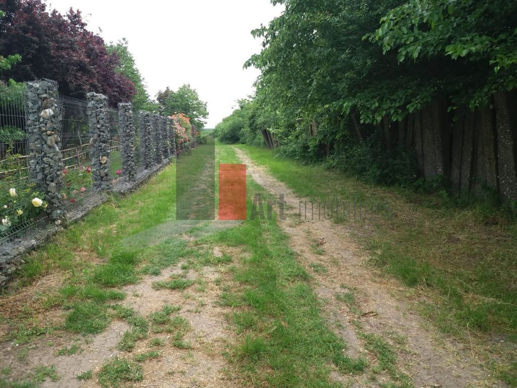 Teren Buftea 2163 mp, pret negociabil, in apropiere de DN...