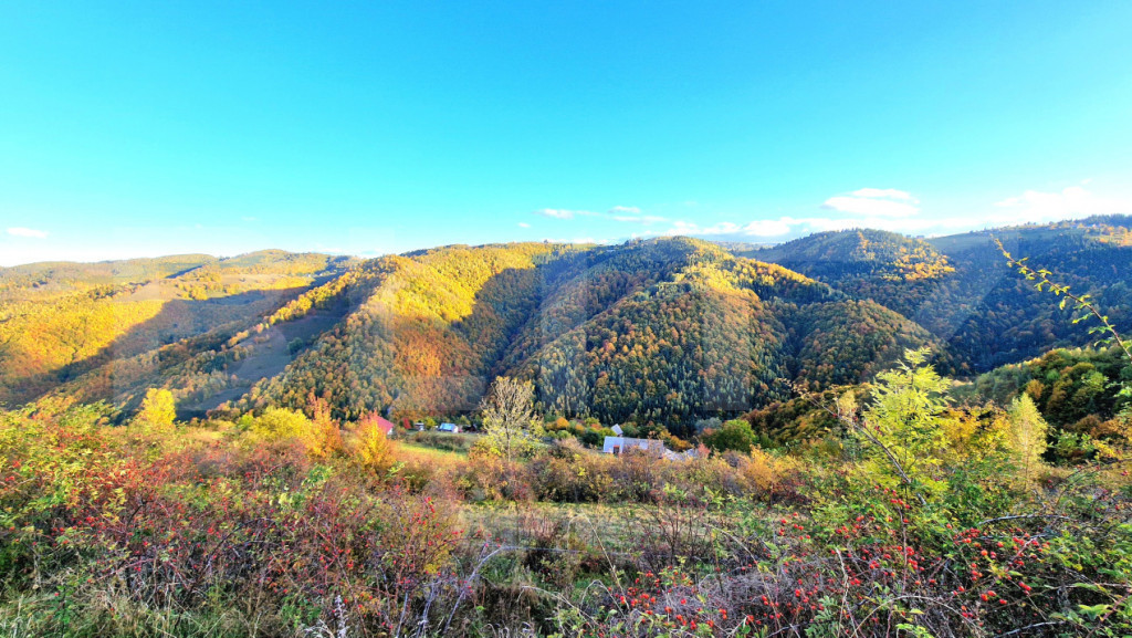 TEREN CU PANORAMA, strada principala, 9959mp, Marisel