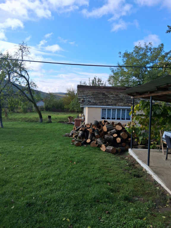 Casa si teren 2000mp Draguseni