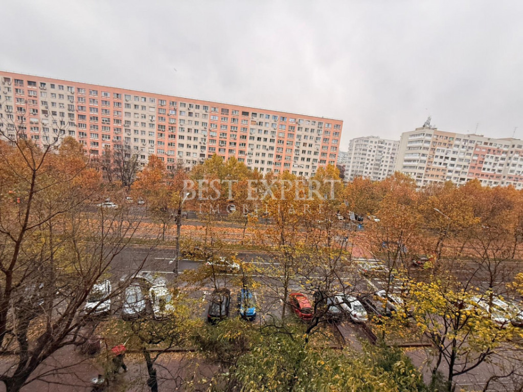 2 Camere Theodor Pallady Salajan