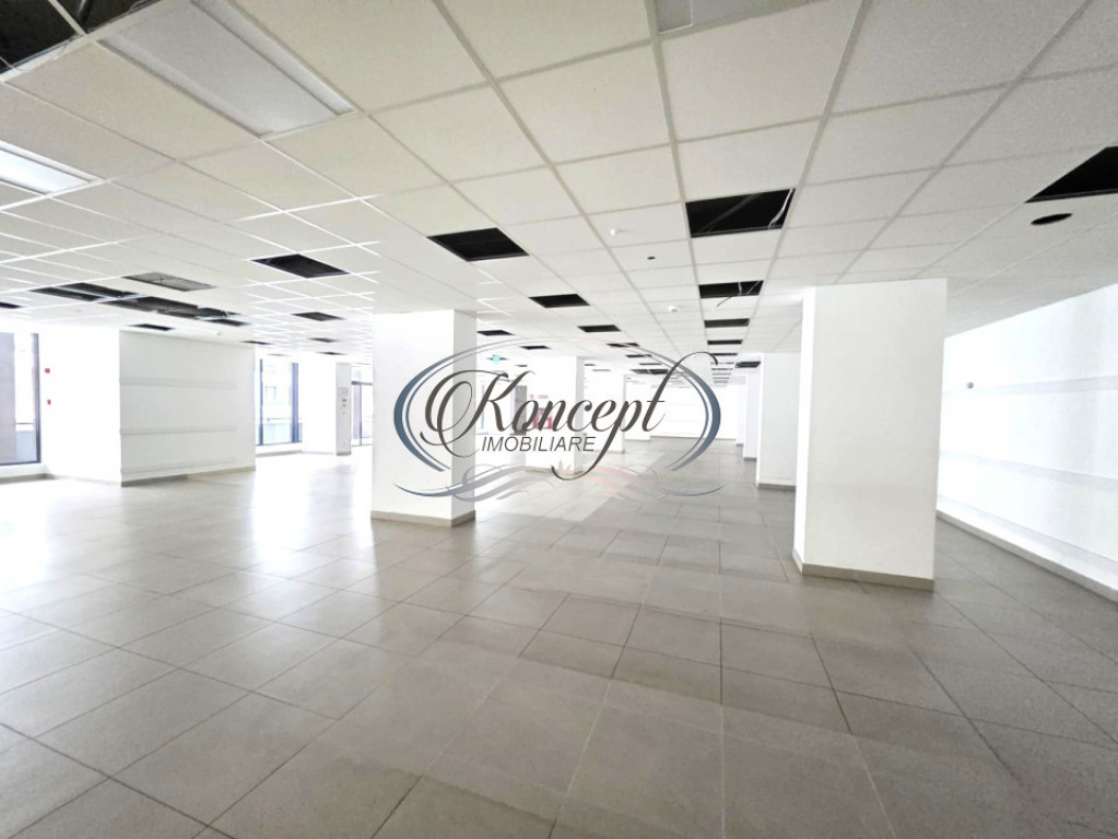 Spatiu comercial versatil pentru showroom sau retail in Mana