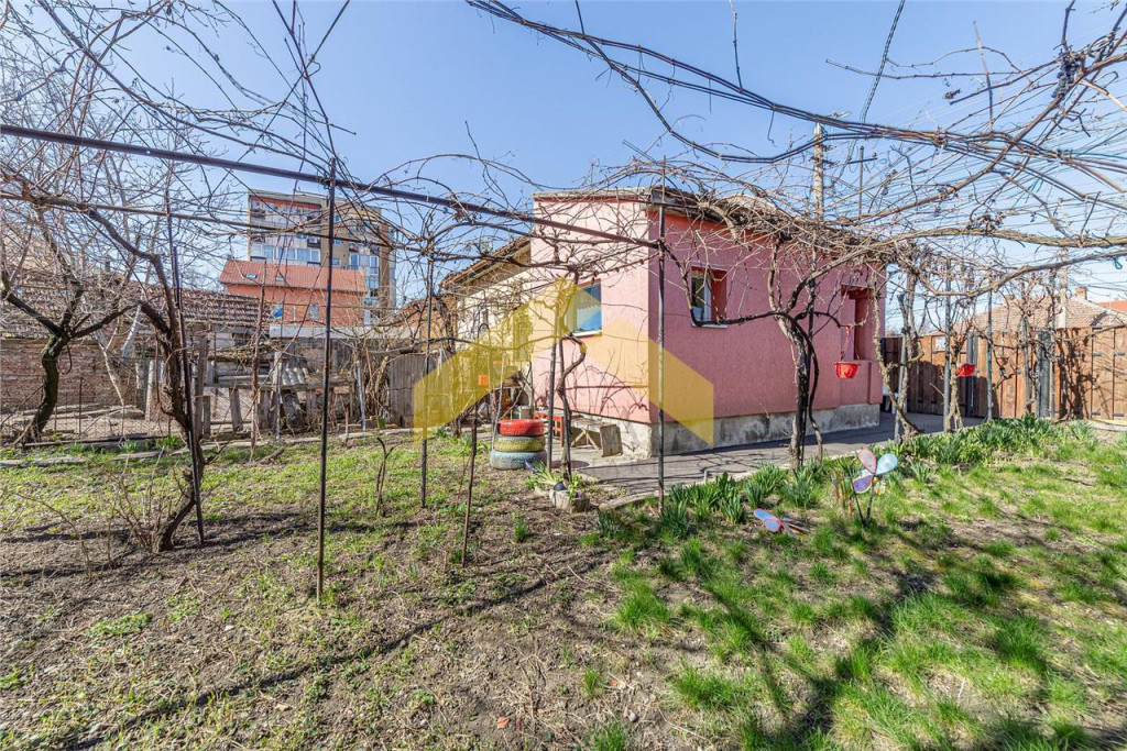 Spatiu comercial de in Micalaca, Calea Radnei