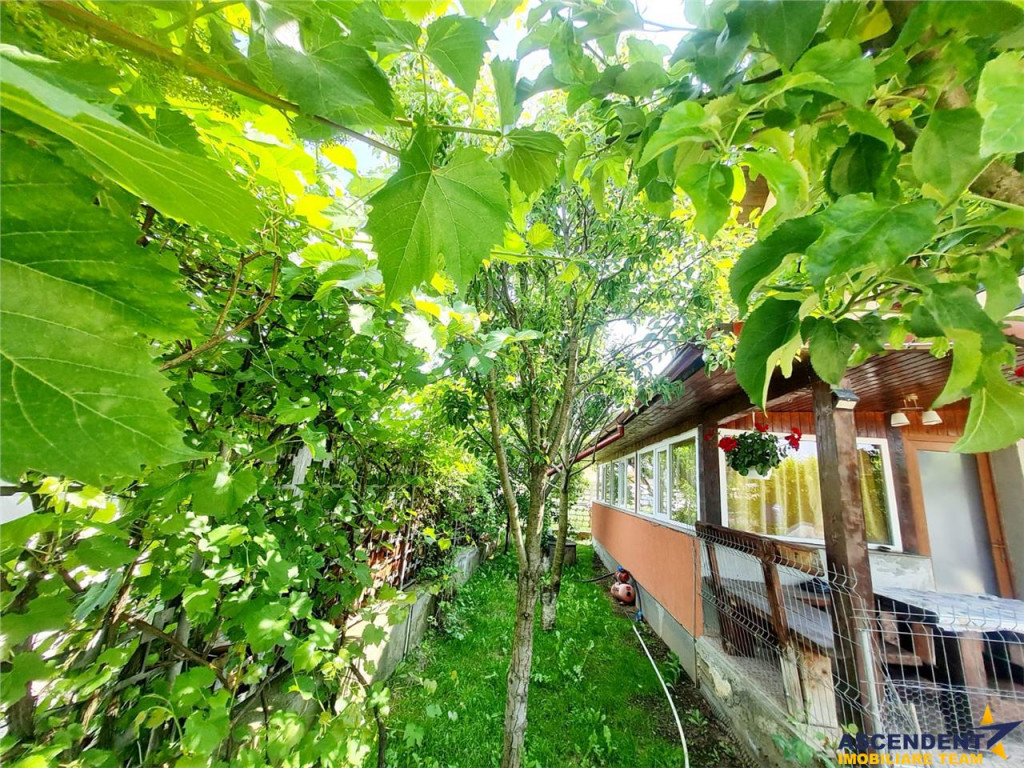 Casa mobilata, accesorizata, luminoasa, vedere munte, zona v