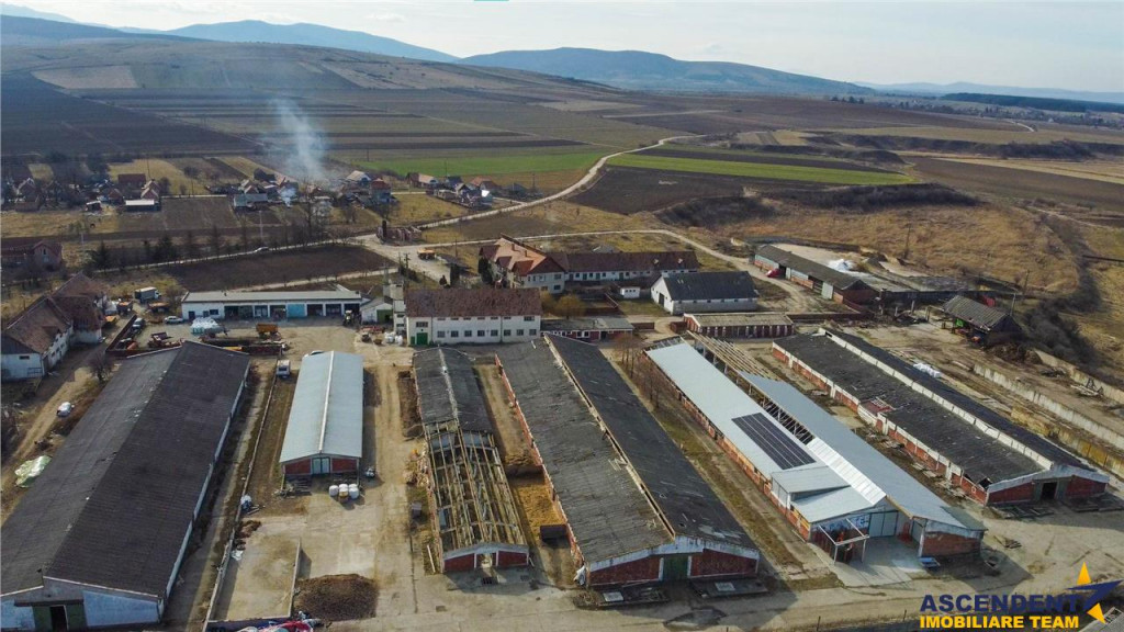 FILM! Complex agrozootehnic cu traditie, echipat pretios p